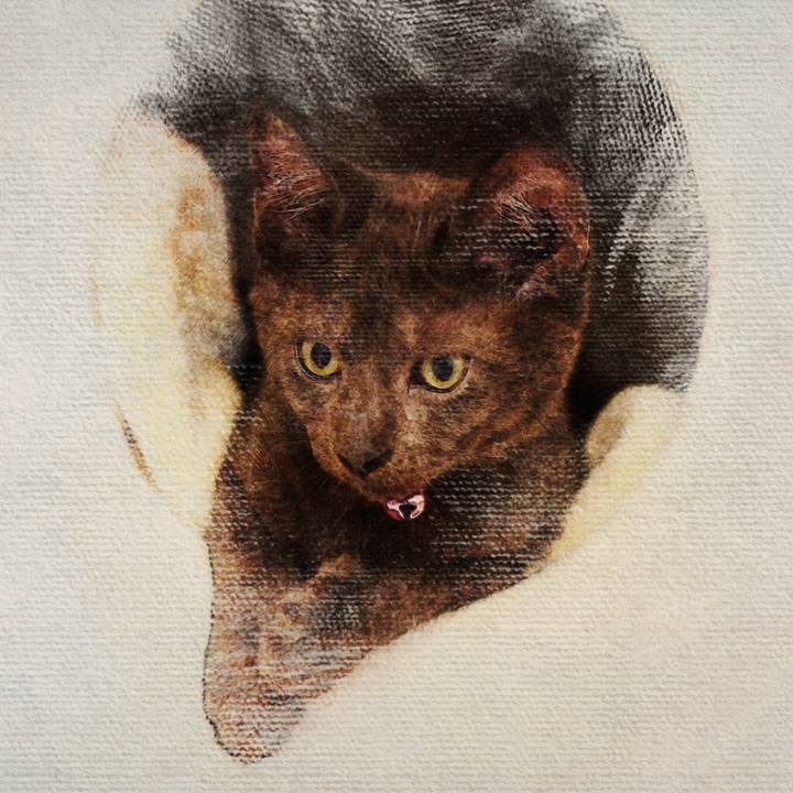 5cf3b19c 118b 417f acc9 33ed4b613fcb 1510285470783