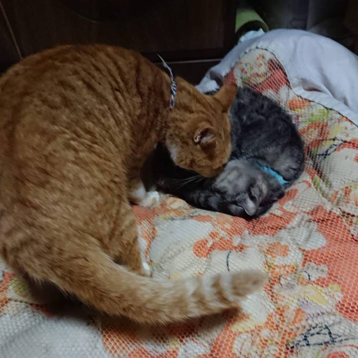 5cf3d948 b322 47a2 be7a 273ee4917df0 1604403877301