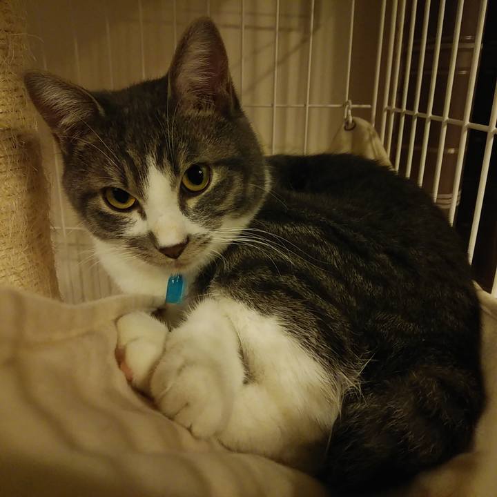 5cf3df3d 94fd 4c06 8c40 370629df10de 1576947990210