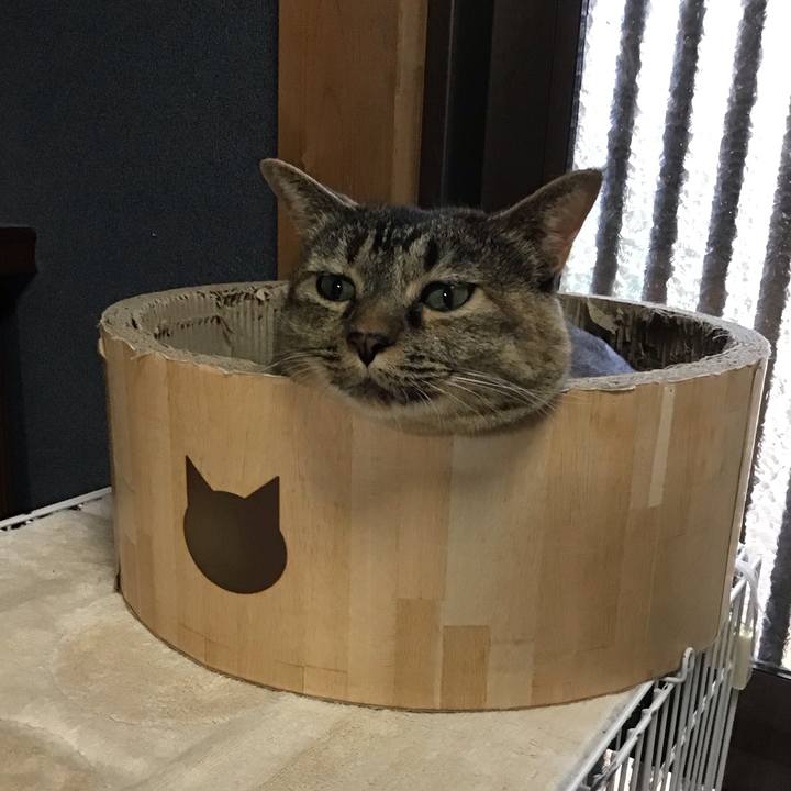 5cf3e43d 77cd 4446 b62d 5aced8e061da 1756025895133