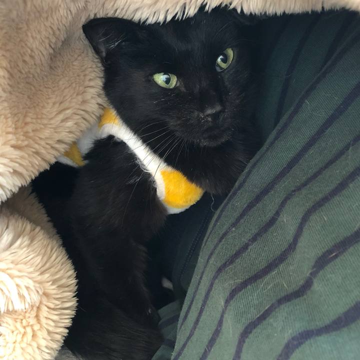 5cf426e5 c642 4ba4 a8e2 cd14329a66f9 1556512962567