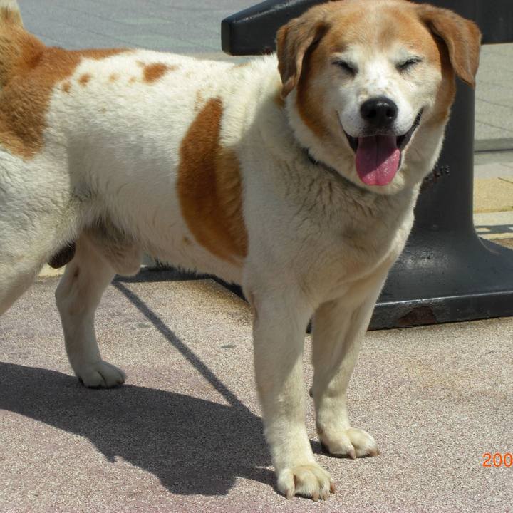 5cf471eb 3c40 4a34 9e4b 49cadc133f18 1615525674521