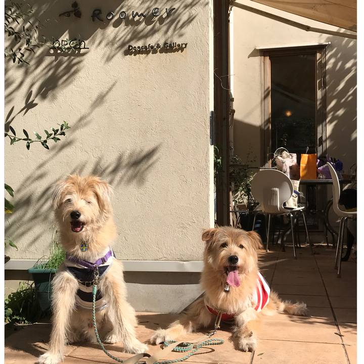 5cf4929d 69b5 4226 b04a fe018eab9a16 1540104616774