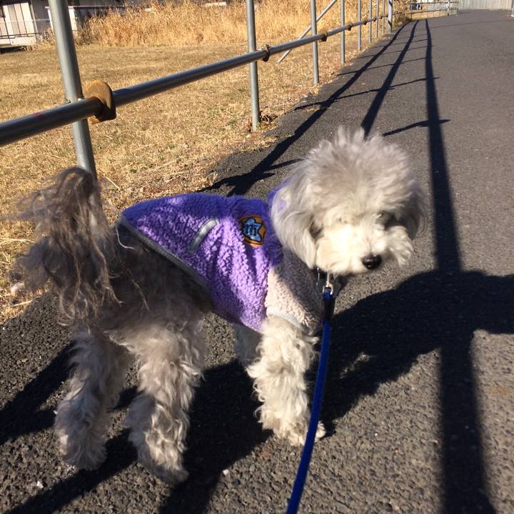 5cf4b47c 8daa 4224 8f8d 48172216306f 1515312225626