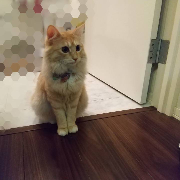 5cf4c887 beba 4226 a14b e4058ef31d5a 1634904846272