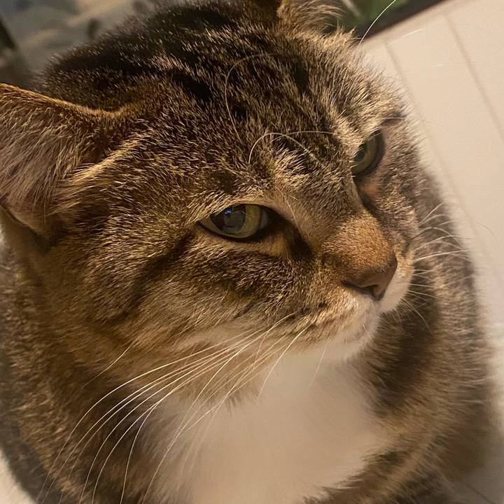 5cf4d3f6 b4b6 431c 953f da48c40577ee 1636237192578