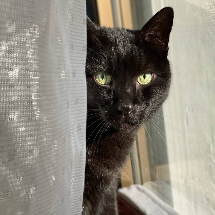 5cf5069b c44e 4d6f 87ea bfd306c96dc5 1644630714354