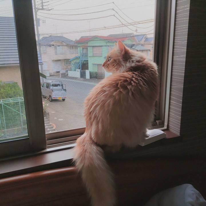 5cf537ef b731 4b8a 83de 484af43292f0 1655504194371