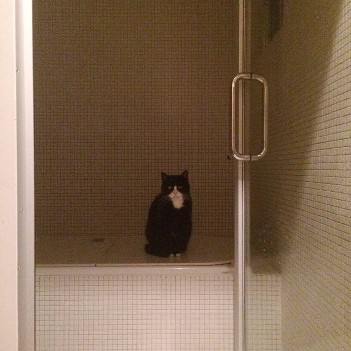 5cf54837 60ea 4f38 80ed 8d7b844e0967 1579784871120