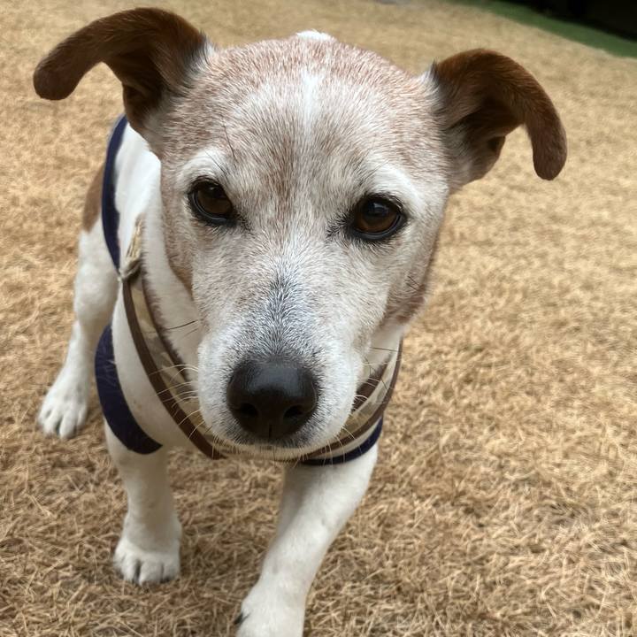 5cf565a7 5bd0 41b6 8574 8e8334bbaec4 1770430135621