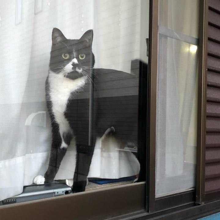 5cf56601 74d7 4630 9aa5 4b7bac1813a8 1551065365365