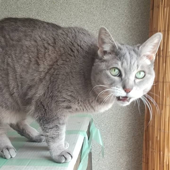 5cf580ad d7c3 4ea0 821a 7bf51cd8008b 1647145883846