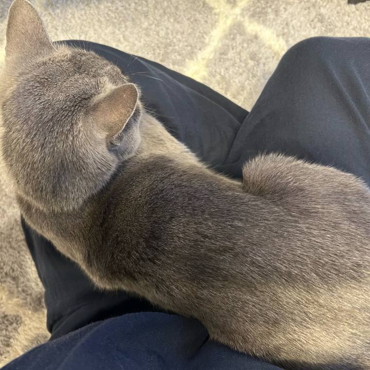 5cf59ab9 5e09 478c a35d 934436b41ea1 1697063908972