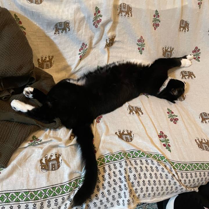 5cf5b47e 816c 483d 9bc3 58b66f5b3774 1675518074490