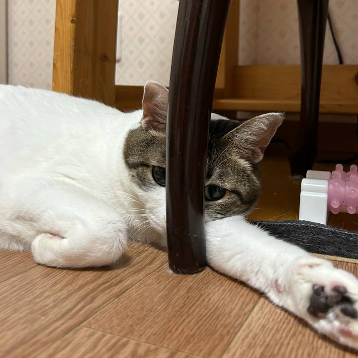 5cf5b87c 267f 416b b76e 218c862e21db 1678484160194