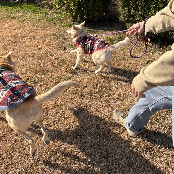 5cf5c84d a714 4cde a2a0 0c293837c47c 1767277446241