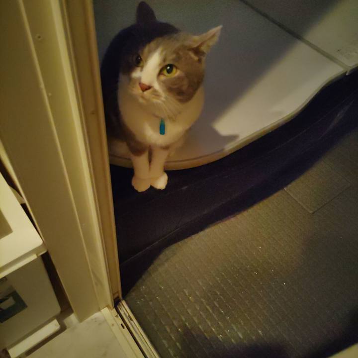 5cf5d57b 62e6 4610 93ea d498903f8d0a 1677447565817