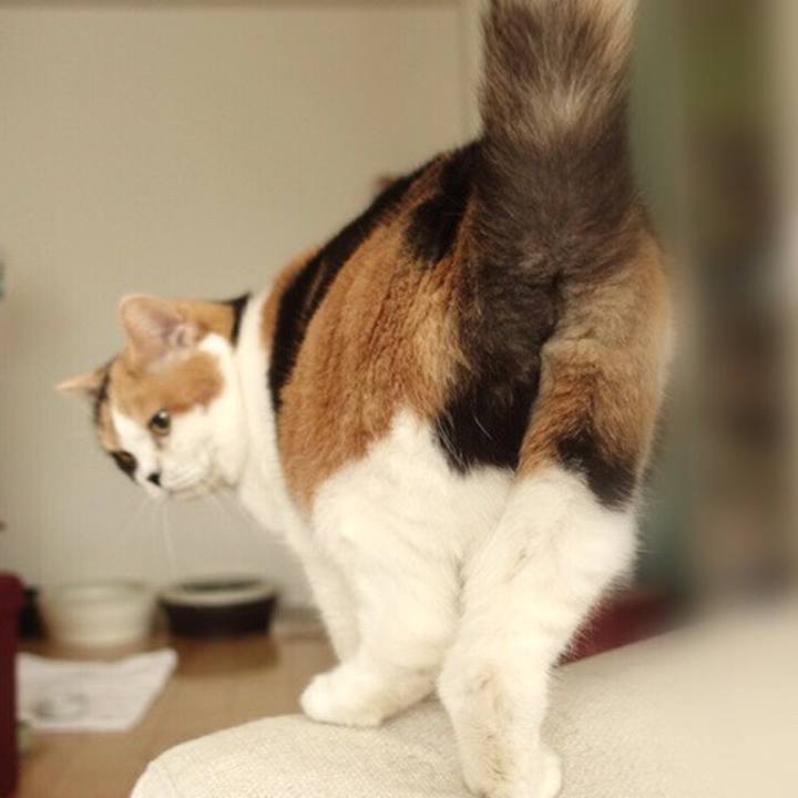 5cf5d620 da56 48d3 a65a df31dc183190 1565707105339