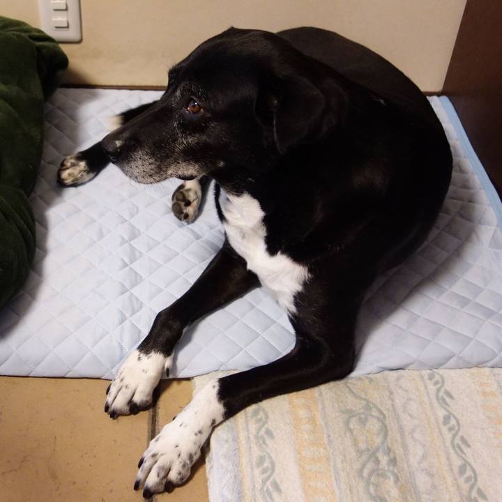 5cf61cf4 1e8a 436c 902f 5398ca1bab68 1747875203876