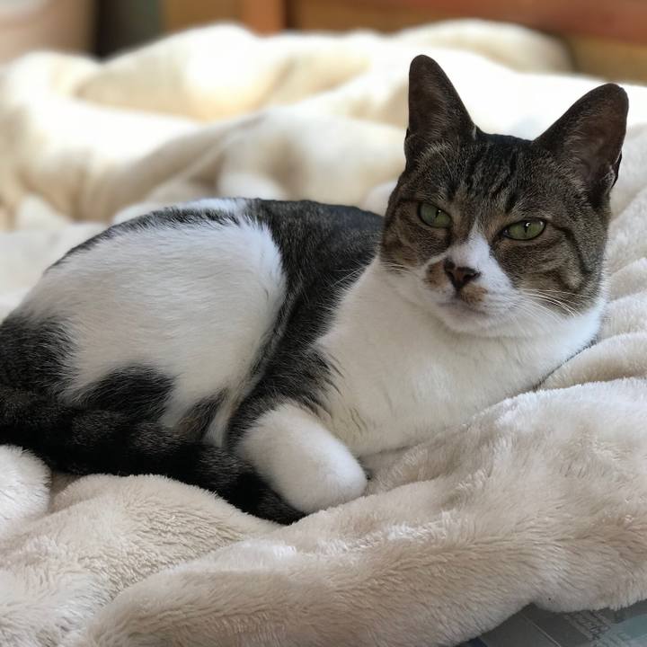 5cf61e30 b4d0 43be 88fc daf24cc43e04 1519433438478