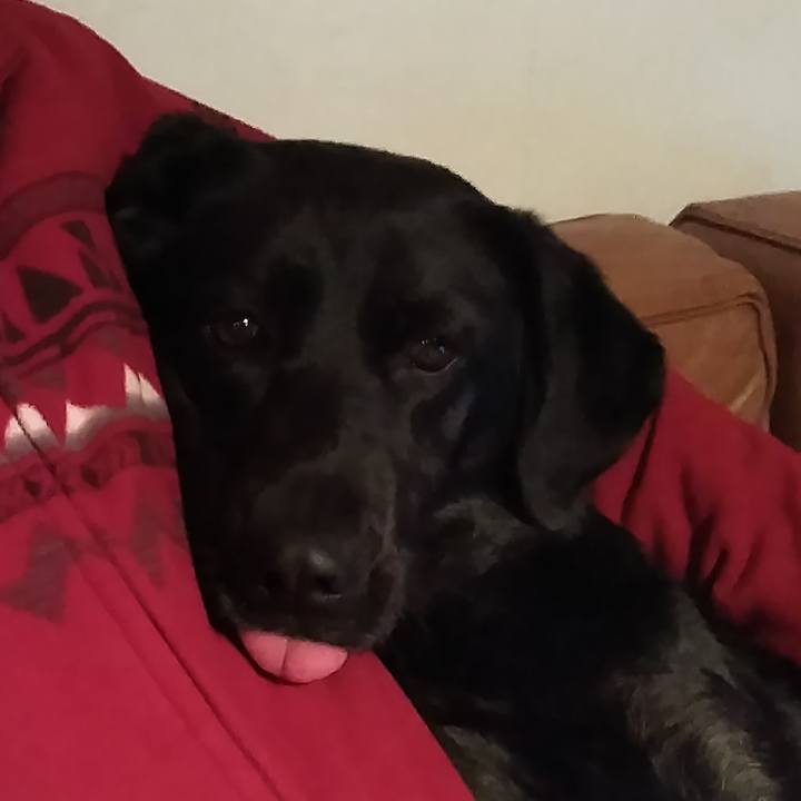 5cf62933 a4e2 49c0 873f fa61c7677857 1546264785123