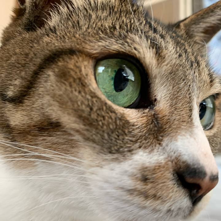 5cf62d95 79f0 4136 957a da993219fad2 1592007196499