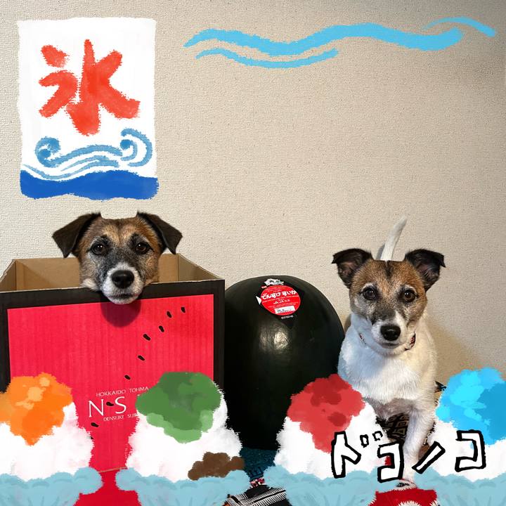 5cf63ddd 9163 49f6 87fa 7578e157ac34 1723251823844