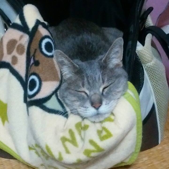 5cf65a21 19bb 411d a647 26d5999626c2 1590064501043