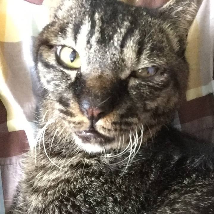 5cf67368 d2aa 4dda b4b7 4487285c1df0 1623720552191