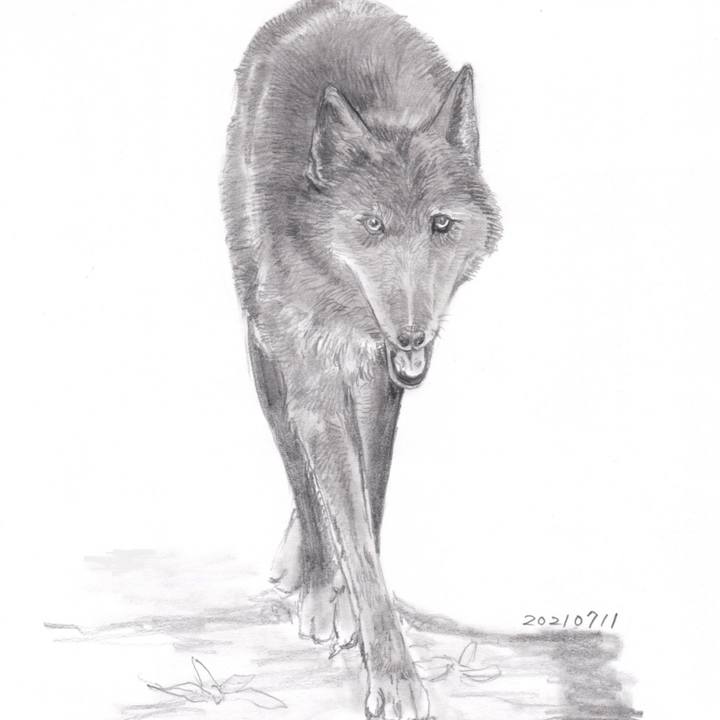 5cf6f20a 0625 45a9 9dff 190a6e7443a9 1626005831904