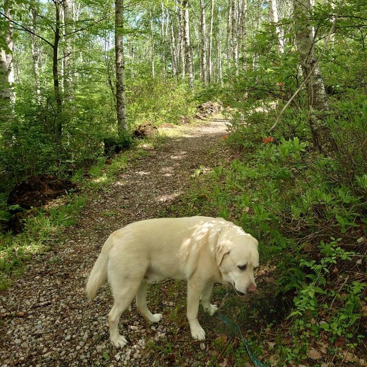 5cf71847 36bb 4ce0 aa94 4e6fba395e25 1685601101765