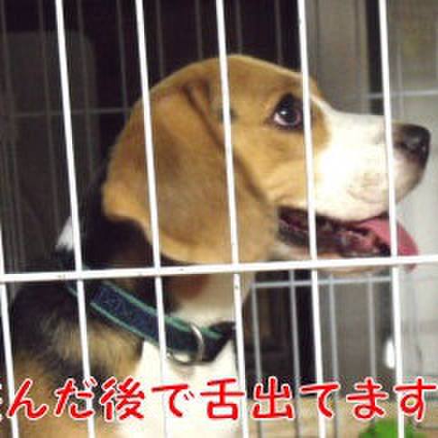 5cf73e1e a656 457a b927 11f7b6ec5764 1693096102058