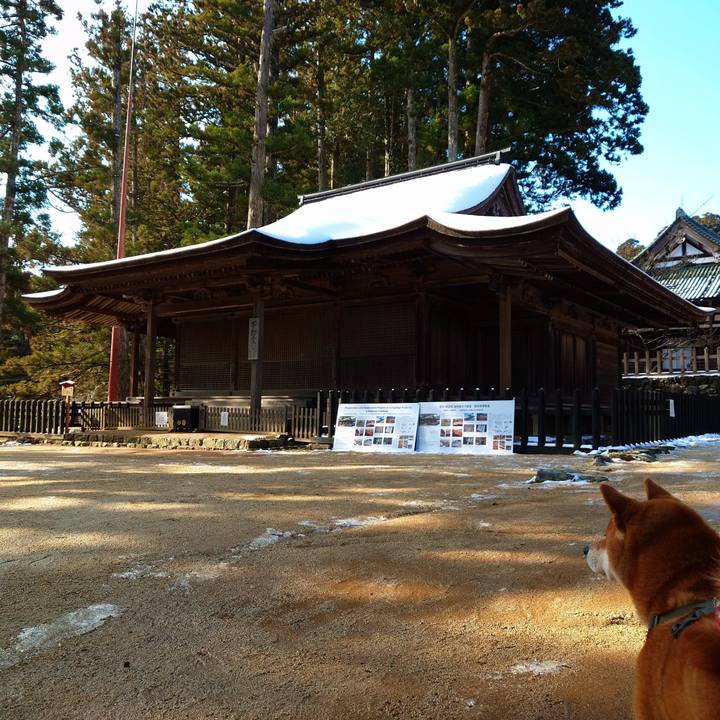 5cf74a69 2695 4b4e b64f d323b6addb29 1767092482762