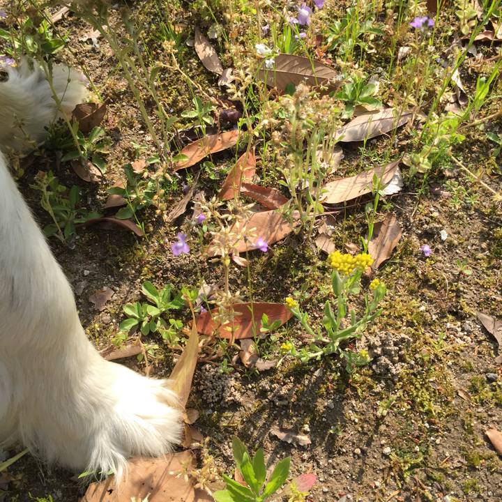 5cf769a7 1a0d 4860 944f 22382c6bd3e7 1555721510236