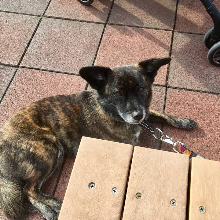 5cf7aa46 59c8 421f 8b3a d191751a0cc9 1518011053353