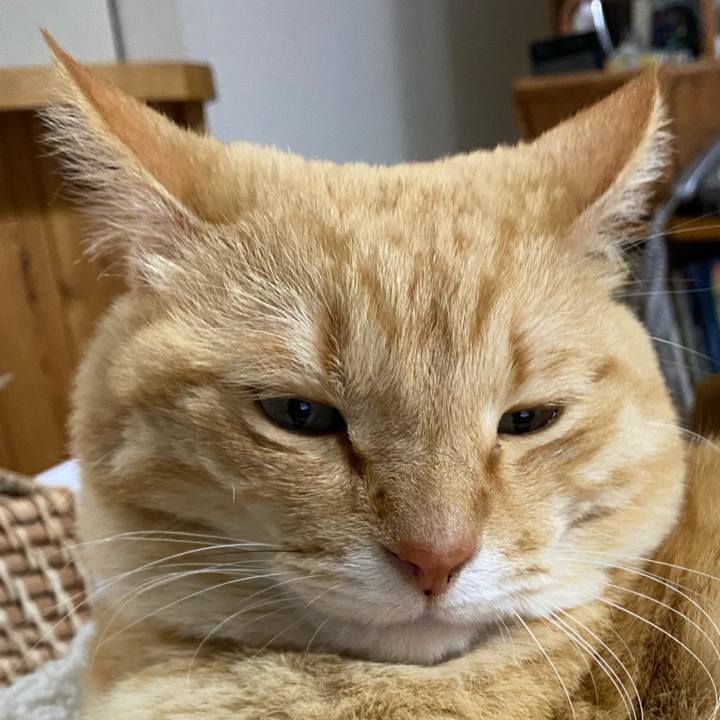 5cf7c106 2d89 4fb7 88e5 e2f4e22b1933 1615639045288