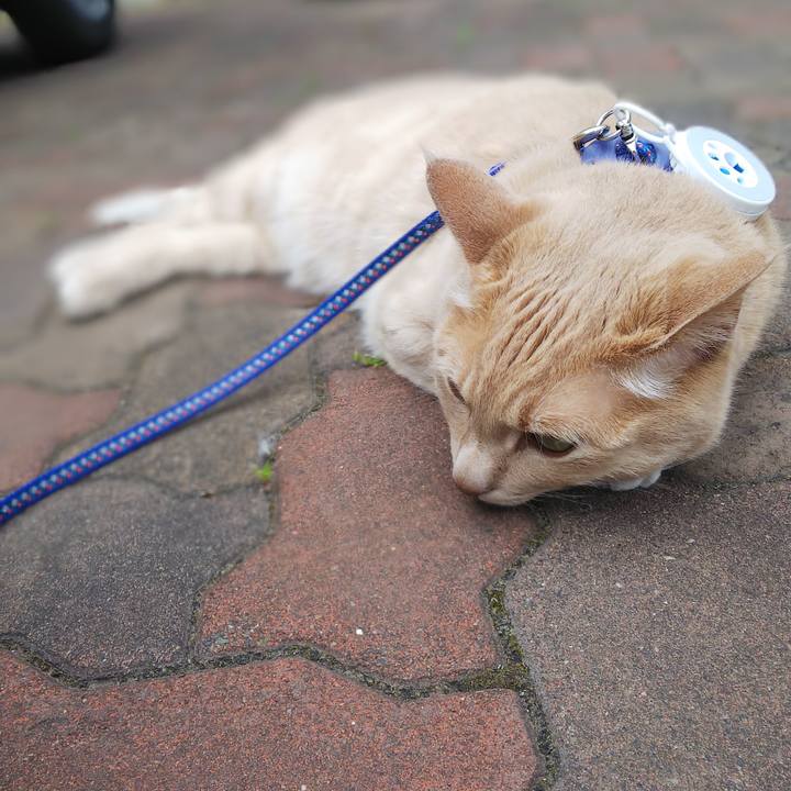 5cf7de4c f179 4d4d a980 3d8f9c066378 1623735449126