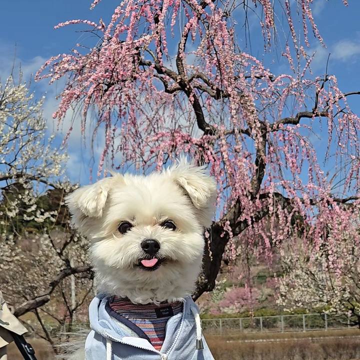 5cf7ea0d 652c 4a76 a369 e4f60996f383 1772260681828