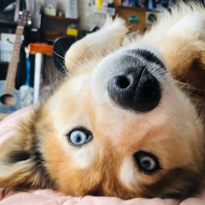 5cf7f636 2a15 42f9 a090 13e35552b92c 1613007777037