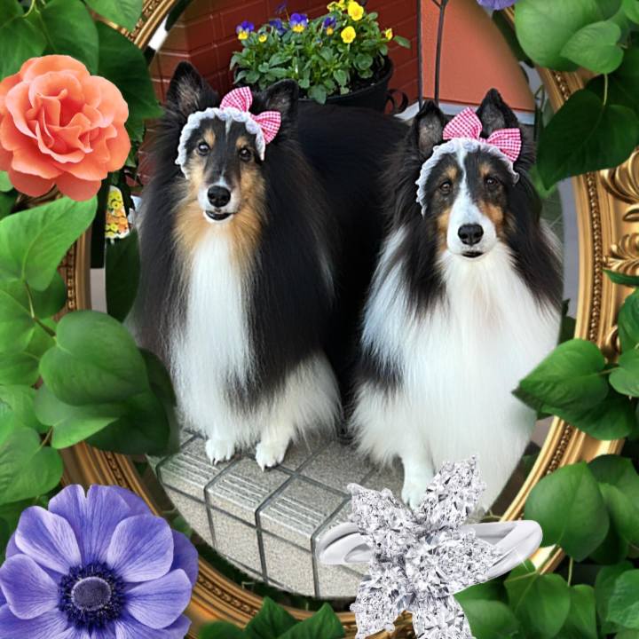 5cf84a36 4009 402a b715 b35eb77fa47e 1666381406443