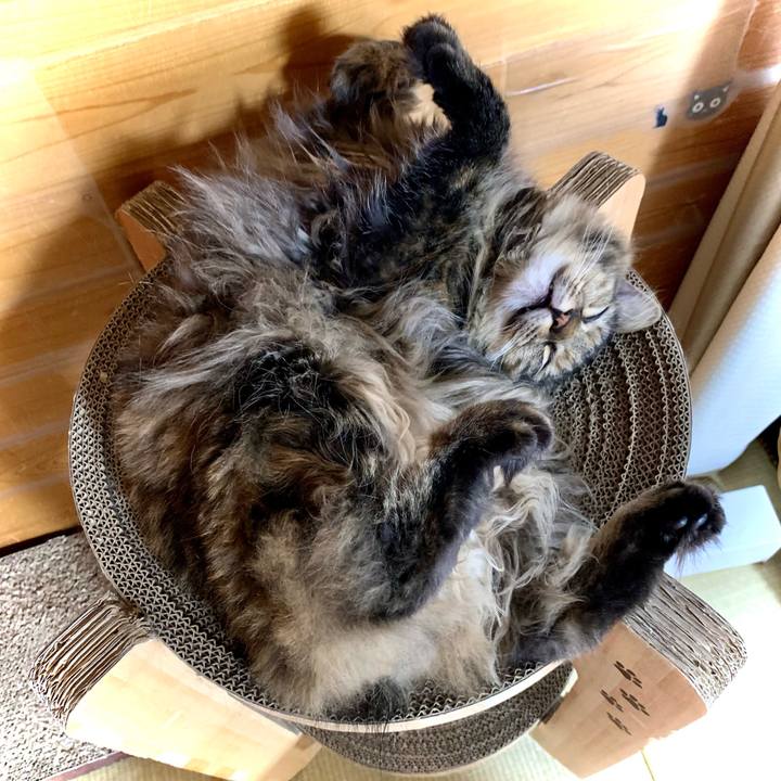 5cf861e6 3694 49b6 8ce5 3390a805401d 1682584188564