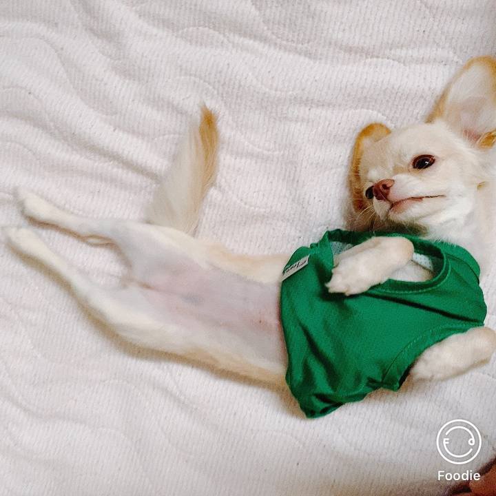 5cf89b4b 5163 438c ae1e cee41cca2f6f 1599355678084