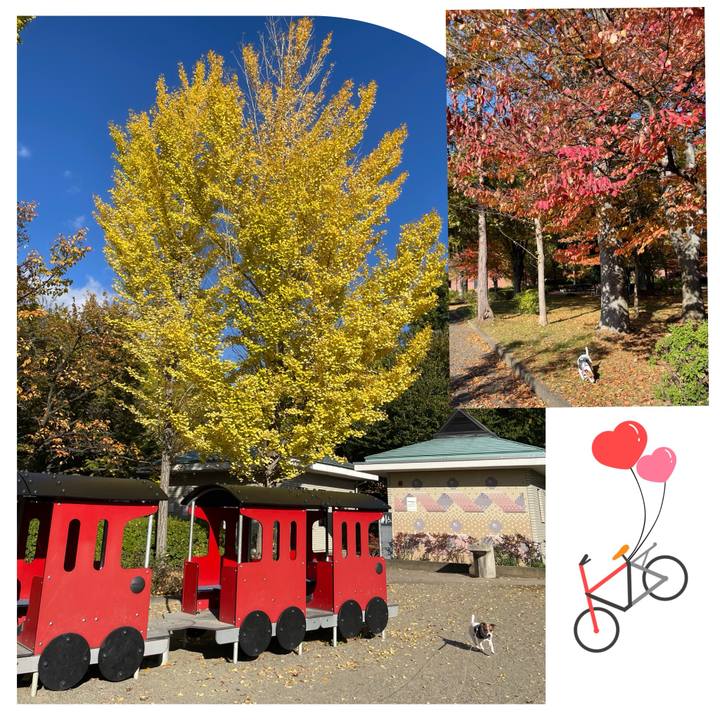 5cf8adc3 643d 46f6 9671 643f0f06a9fe 1731321968791