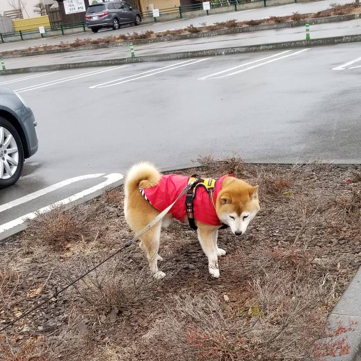 5cf8b073 1f30 416c bb4c 27ba28020b57 1616911565947