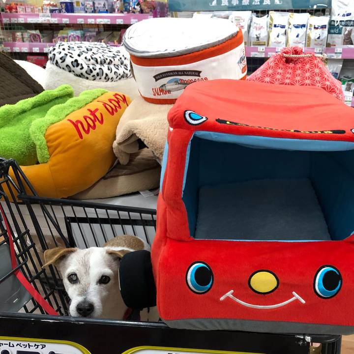 5cf8cb29 cf78 4287 b368 50082043b539 1579422882401