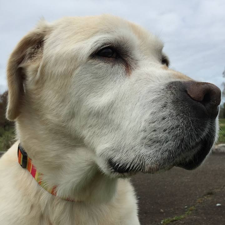 5cf8d3a5 303e 44d5 a916 131d3dc6c24a 1524221568999