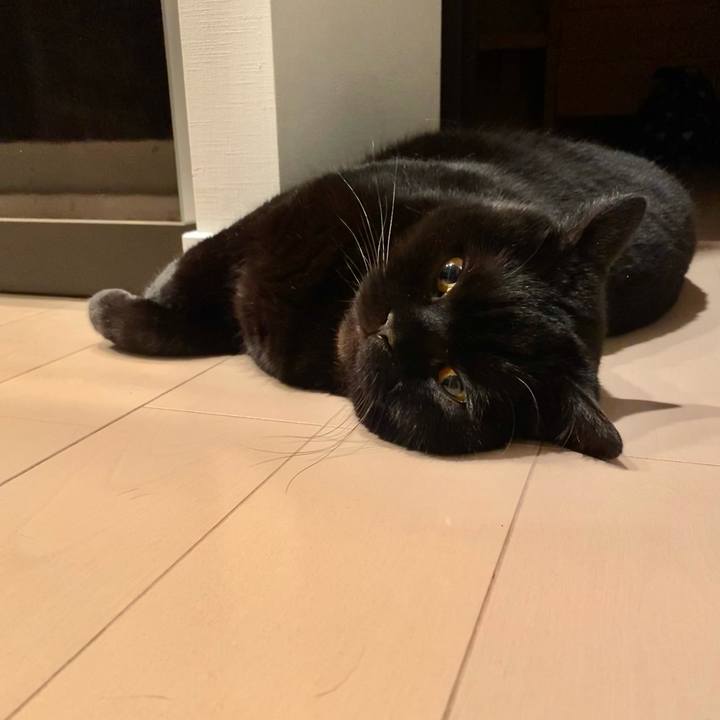 5cf90b0c d4bc 4c51 80b9 36519dc00612 1715247721630