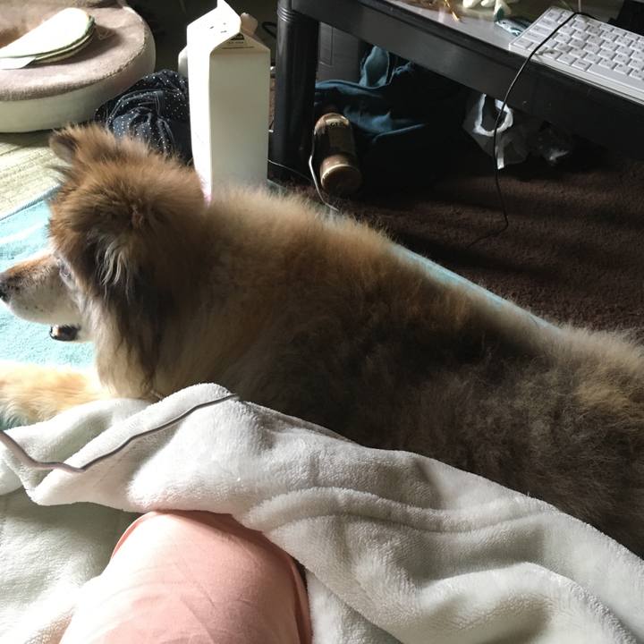 5cf90bcc f3e0 4dd3 abda c1a1ba02512c 1555984081953