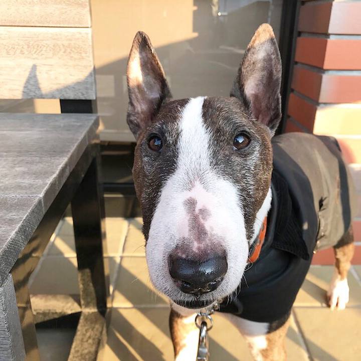 5cf915a3 a6e4 4f84 9f23 5ada583582ca 1516450647031