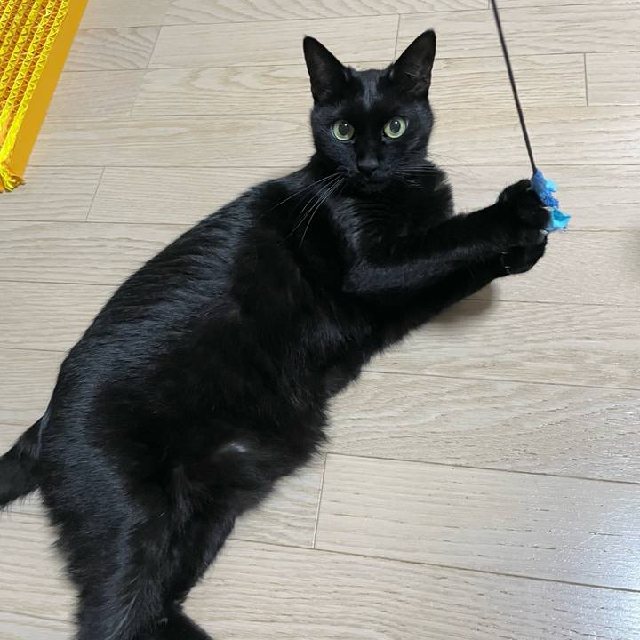 5cf930ad 8105 4961 8a8c 57008d7dd904 1732625980650